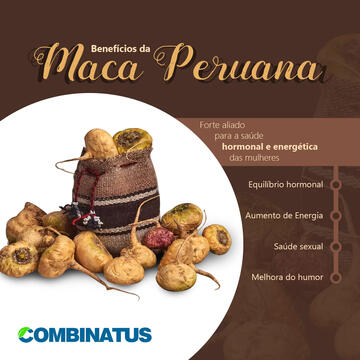 Placa Peruana